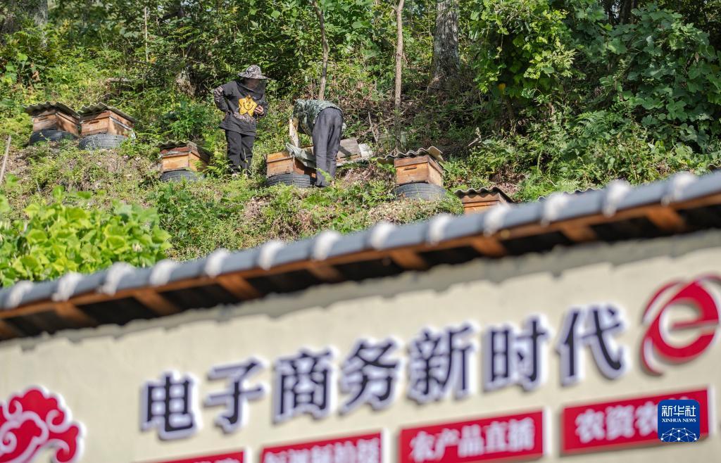 185游戏平台